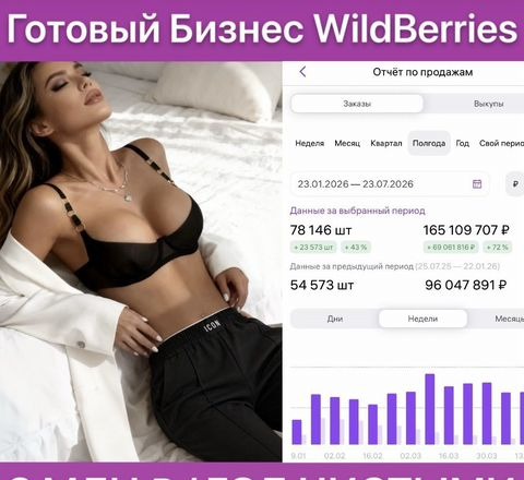 Обложка объявления: Готовый бизнес WildBerries